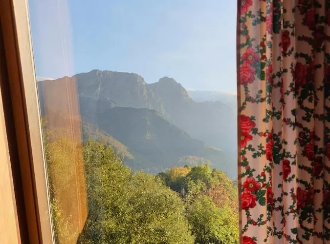 Aparthost Tatra Panorama 公寓 扎科帕内